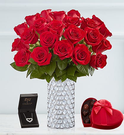 Two Dozen Sparkle Her Day Red Roses